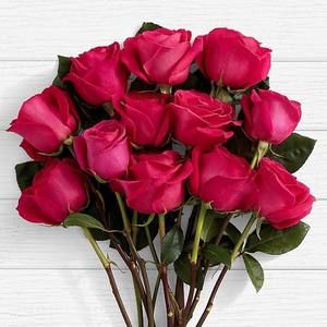 Meet your Posher, Arely